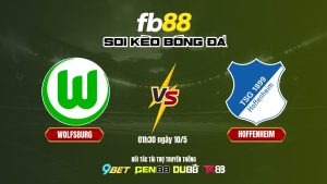 Soi kèo bóng đá Wolfsburg vs Hoffenheim_ FB88